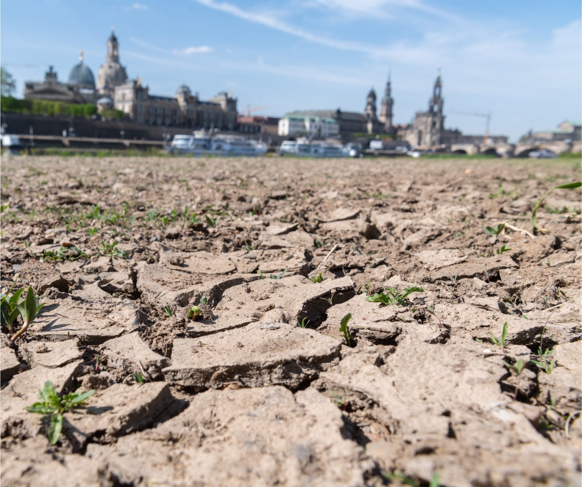 Trockenes Flussufer an der Elbe