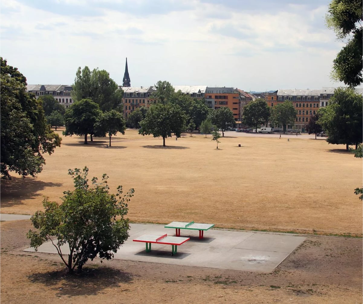 Alaunpark in Dresden mit trockener Wiese