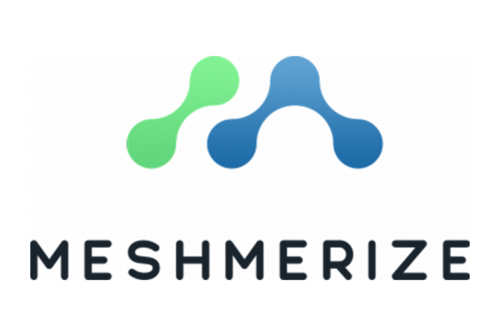Logo Meshmerize