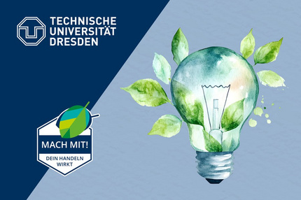 Grafik mit einer Glühbirne aus der Blätter wachsen